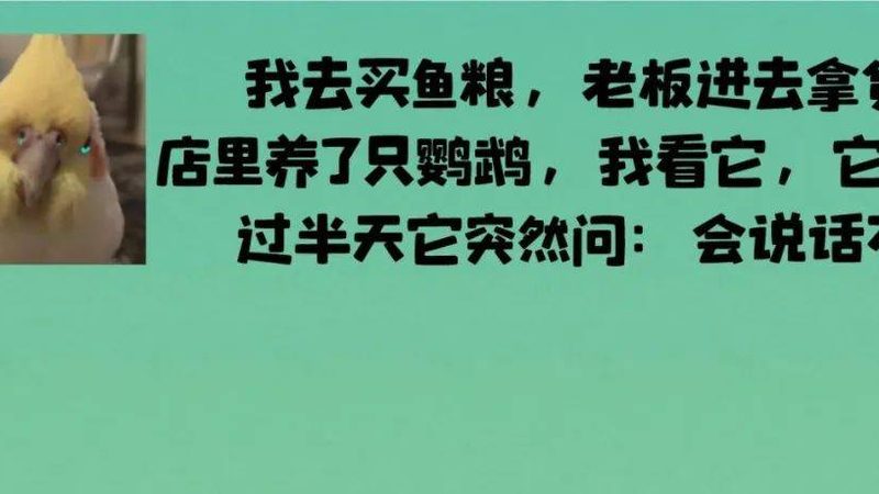 米面制品，你了解多少？种类解析与选购要点